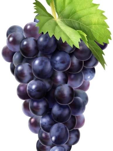 Zabibu - Fruits fresh GENGE ONLINE